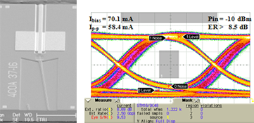 2.5Gbps 반사형 반도체 칩(R-SOA)