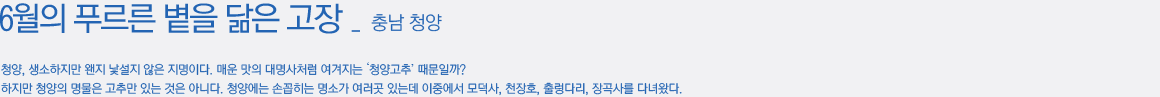 6월의 푸르른 볕을 닮은 고장