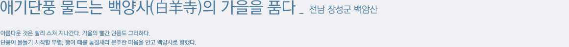 애기단풍 물드는 백양사(白羊寺)의 가을을 품다