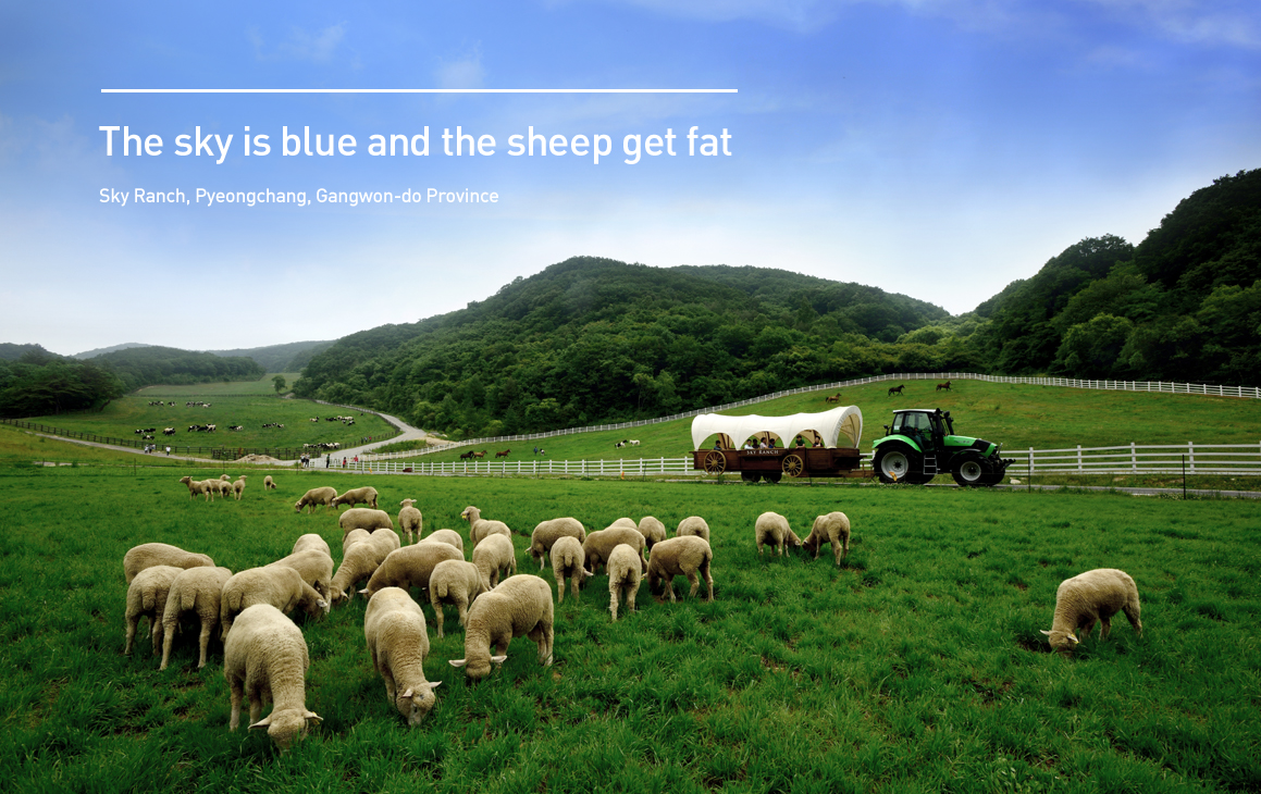 The sky is blue and the sheep get fat